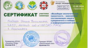 GruzdevaIMCompressing (7)