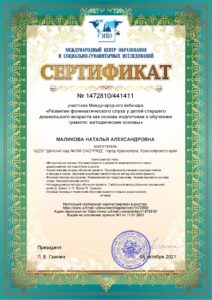 MalikovaNA211024 (3)