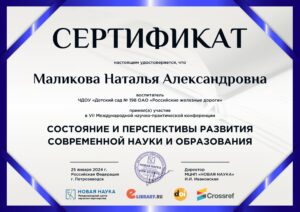 MalikovaNA211024 (4)