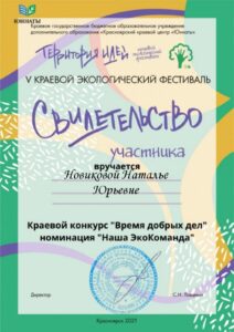 Свидетельство Территория идей-min